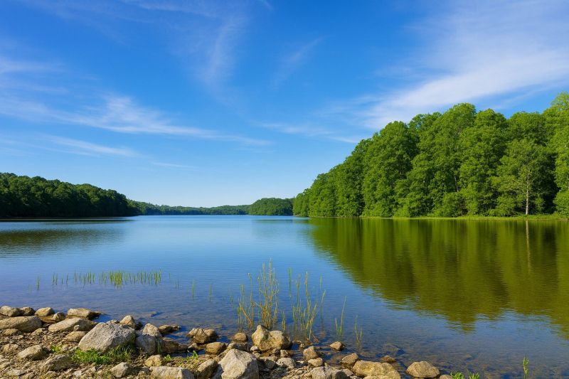 Contact About Windows Installation